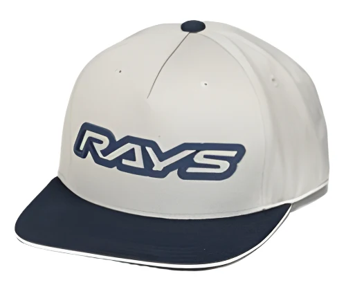 RAYS Official Flat Brim Hat 23S Light Gray / Blue