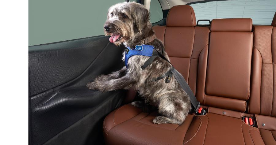 Subaru OEM Pet Rear Door Protector 2024-2025 Forester - Image 3