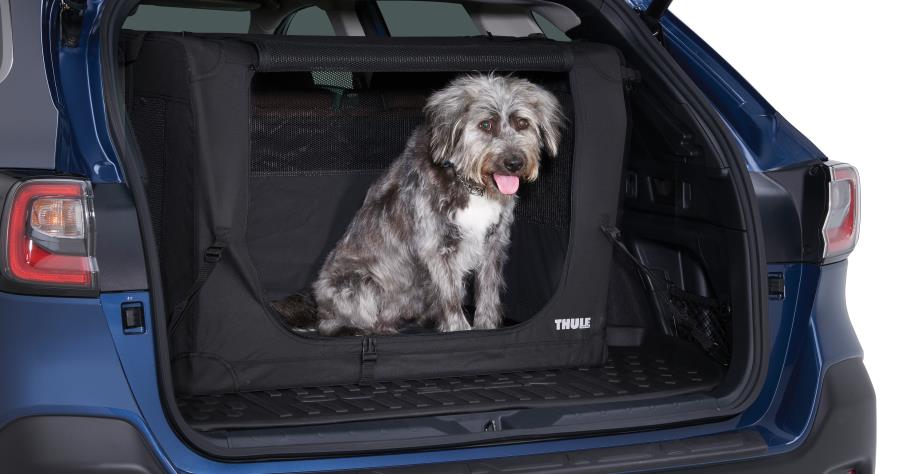 Subaru OEM Collapsible Pet Kennel Large by Thule 21-25 Ascent / 21-25 Forester / 21-25 Outback